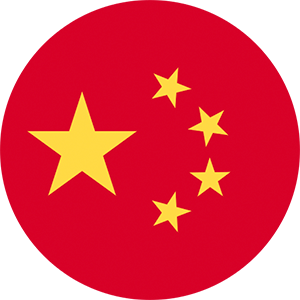 中文